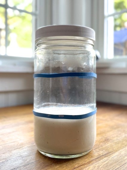 Hungry sourdough starter in a jar, just fed